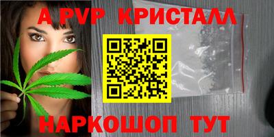 PSILOCYBIN Можга