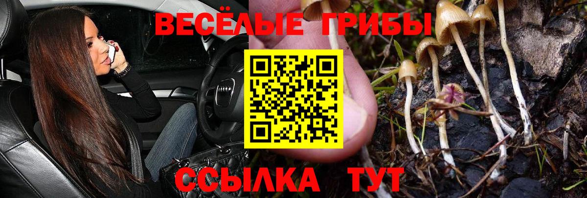 Галлюциногенные грибы Cubensis Трёхгорный