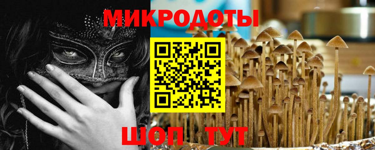 Трёхгорный  Псилоцибиновые грибы Psilocybine cubensis  Вход с VPN 